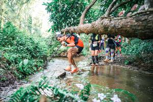 BIB: 
                            <button type="button" onclick="openModal(25517621)" class="btn btn-primary btn-sm float-right btn-popup" data-toggle="modal" data-target=".modal-high-quality">
                        <i class="fas fa-shopping-cart"></i> Add to Cart
                    </button>
                                            <button type="button" onclick="isThisMe(25517621, true)" class="btn btn-success btn-sm float-right btn-popup btn-isme hidden" data-toggle="tooltip" data-placement="bottom" title="นี่คือรูปของคุณใช่ไหม คลิกที่นี่เพื่อเอาเข้าอัลบั้ม">
                        <i class="fas fa-plus"></i> Add to album
                    </button>
                    <button type="button" onclick="isThisMe(25517621, false)" class="btn btn-warning btn-sm float-right btn-popup btn-isnotme hidden">
                        <i class="fas fa-ban"></i> Remove from album
                    </button>